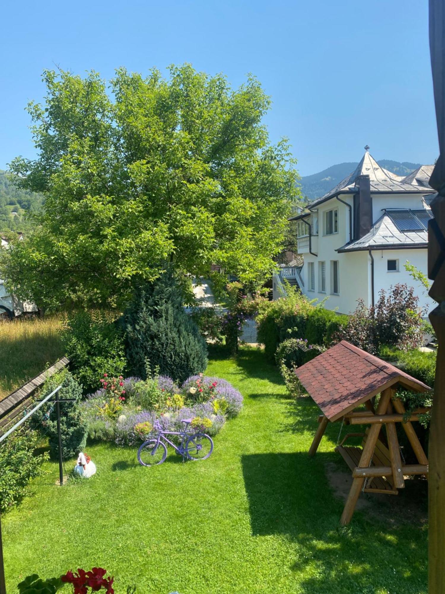 Casuta Fulgu - Sa Te Simti Ca Acasa! Villa Borsa  Luaran gambar